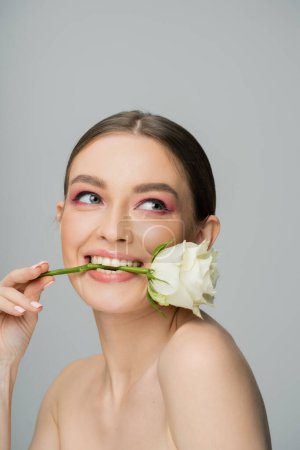 Photo for Smiling woman with naked shoulders and makeup posing with white rose in teeth isolated on grey - Royalty Free Image