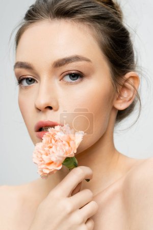 hübsche Frau mit natürlichem Make-up und perfekter Haut, die Nelkenblüte in der Nähe des Gesichts hält, während sie die Kamera isoliert auf grau betrachtet