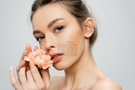 sinnliche Frau mit perfekter Haut und natürlichem Make-up mit frischer Nelke und Blick in die Kamera isoliert auf grau