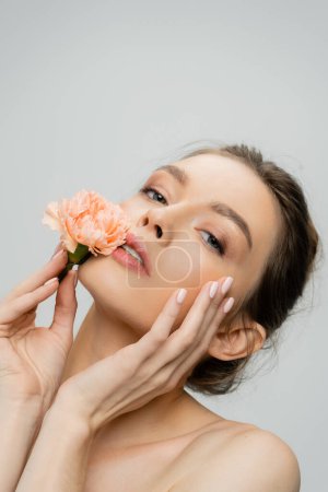 sensual woman holding fresh carnation near perfect face while looking at camera isolated on grey