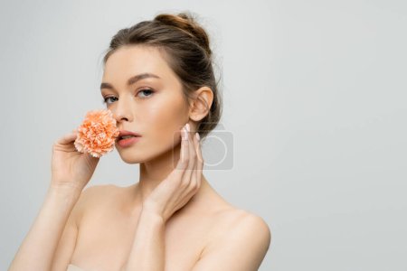 Charmante Frau mit perfekter Haut und nackten Schultern, die Nelkenblüte in der Nähe Gesicht isoliert auf grau