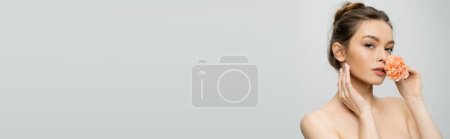 Photo for Pretty woman with bare shoulders smelling carnation flower and touching perfect face isolated on grey, banner - Royalty Free Image