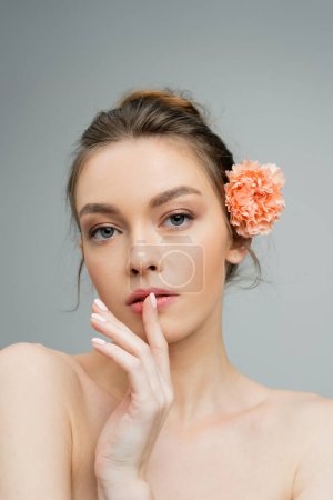 young woman with naked shoulders and carnation flower behind ear touching lips while looking at camera isolated on grey