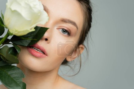 Porträt einer jungen Frau mit sauberer Haut, die ihr Gesicht mit frischer Rose verdeckt und in die Kamera schaut, isoliert auf grau