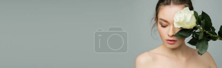 Photo for Young woman with naked shoulders and perfect skin obscuring face with fresh rose isolated on grey, banner - Royalty Free Image