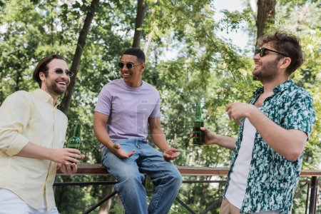 Téléchargez les photos : Des amis interraciaux insouciants dans des lunettes de soleil tenant des bouteilles de bière et parlant dans un parc d'été - en image libre de droit