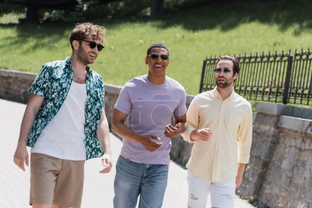 Cheerful interracial men in sunglasses walking in summer park 