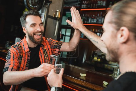 Cheerful bearded men giving high five and holding tequila glasses in bar 