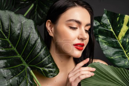 charmante jeune femme aux cheveux bruns et aux lèvres rouges touchant des feuilles de palmier vert tropical et exotique avec des gouttes de pluie sur elles isolées sur fond gris 