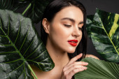 charming young woman with brunette hair and red lips touching tropical and exotic green palm leaves with raindrops on them isolated on grey background  t-shirt #654501186