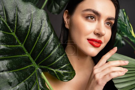 Photo for Enchanting young woman with brunette hair and red lips posing around tropical, wet and green palm leaves with raindrops on them isolated on grey background - Royalty Free Image