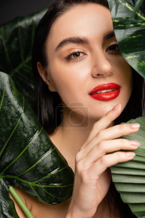Porträt einer charmanten Frau mit brünetten Haaren und roten Lippen, die um tropische und exotische grüne Palmenblätter posiert, auf denen vereinzelt Regentropfen auf grauem Hintergrund liegen 