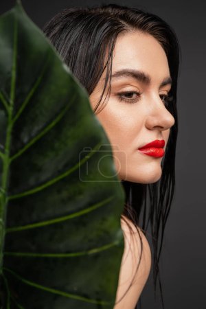 Charmante junge Frau mit brünetten und nassen Haaren, roten Lippen und perfekter Haut, die neben verschwommenem grünem Palmblatt posiert und isoliert auf grauem Hintergrund wegschaut 