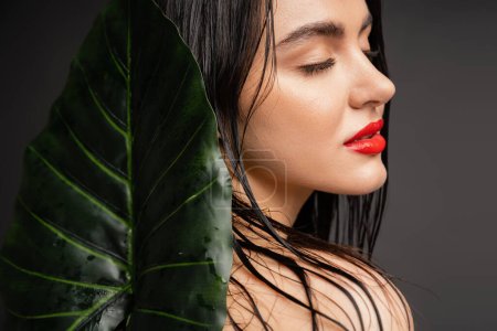 charming young woman with brunette and wet hair, red lips and perfect skin posing with closed eyes next to blurred tropical green palm leaf isolated on grey background 