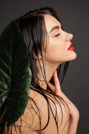 Téléchargez les photos : Vue latérale de belle jeune femme aux cheveux bruns et mouillés, aux lèvres rouges et à la peau parfaite posant la main sur le cou à côté de feuilles de palmier vert tropical floues isolées sur fond gris - en image libre de droit