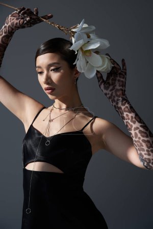 youthful asian woman in black elegant strap dress, silver necklaces and animal print gloves holding white blooming orchid above head on dark grey background, trendy spring concept, fashion shoot