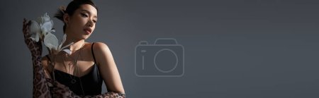 Foto de Mujer asiática joven y elegante en collares de plata y vestido negro de la correa que sostiene la orquídea que florece blanca mientras que posa sobre fondo gris oscuro, primavera de moda, generación z, bandera - Imagen libre de derechos