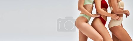 Cropped view of multiethnic models in colorful trendy lingerie posing together and standing isolated on grey, different body types and self-acceptance concept, multicultural models, banner 