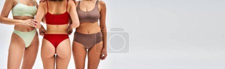 Cropped view of woman in lingerie touching panties while standing and posing next to multiethnic friends on grey background, diverse body shapes and multiethnic women concept, banner 