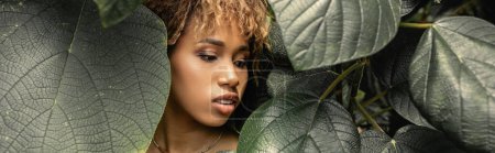 Moderna mujer afroamericana joven con maquillaje mirando hojas verdes mientras está de pie cerca de las plantas en el jardín interior, mujer elegante disfrutando de exuberantes alrededores tropicales, pancarta 