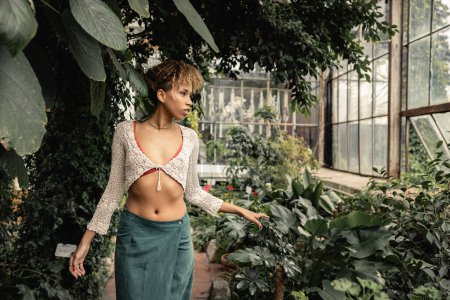 Modische junge afrikanisch-amerikanische Frau im Sommerrock und Stricktop berührt Pflanze und schaut weg, während sie im verschwommenen Gewächshaus im Hintergrund steht, stilvolle Dame umgeben von üppigem Grün