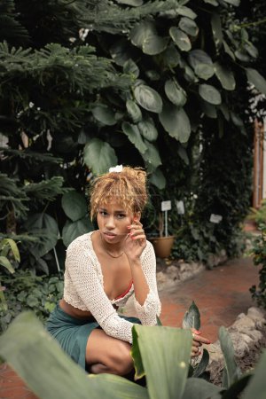 Foto de Mujer afroamericana joven de moda en traje de verano mirando a la cámara mientras posa cerca de plantas tropicales en el fondo en naranjería, señora elegante rodeada de exuberante vegetación, verano - Imagen libre de derechos