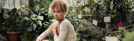Trendy young african american woman in knitted top looking at camera while relaxing near blurred plants at background in orangery, fashionable woman enjoying summer vibes, banner 