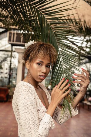 Portrait de jeune femme afro-américaine branchée en haut tricoté regardant la caméra tout en touchant le brunch de palmier en orangerie, fashionista posant au milieu de la flore tropicale, concept d'été