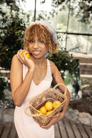 Lächelnde junge afrikanisch-amerikanische Frau mit Hosenträgern, Korb mit frischen Zitronen in der Hand, posiert im Sommerkleid und steht in der Orangerie, stilvolle Dame, die Mode und Natur verbindet, Sommerkonzept