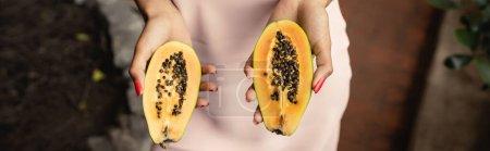 Photo for Cropped view of young african american woman in summer dress holding cut and fresh papaya while standing in blurred indoor garden, fashion-forward lady inspired by tropical plants, banner - Royalty Free Image