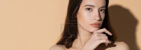Long haired asian woman with natural makeup looking at camera on beige background, banner mug #666745088