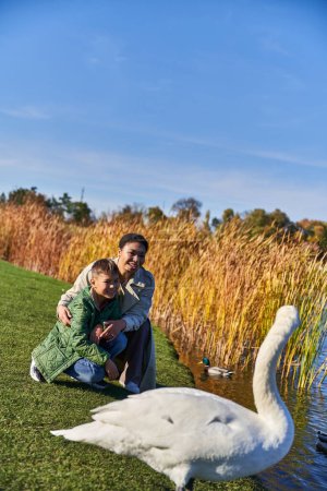 Foto de Vinculación, mujer afroamericana feliz y niño mirando cisne cerca de estanque, madre e hijo, sonrisa - Imagen libre de derechos