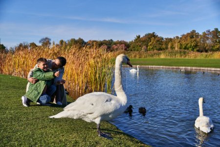 bonding, cheerful african american woman hugging boy, white swans in pond, mother and son, smile