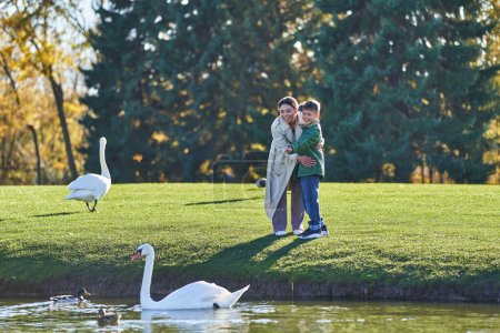 Foto de Madre e hijo afroamericanos felices mirando cisnes en el lago, naturaleza, moda otoñal, ropa de abrigo - Imagen libre de derechos