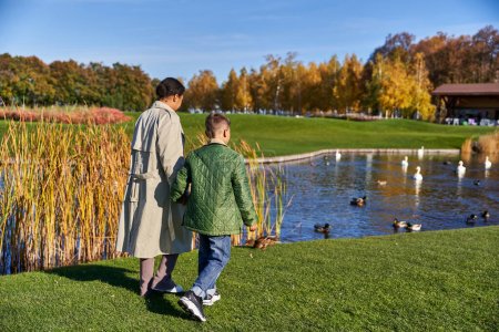 back view of mother and son in outerwear walking together near lake with swans and ducks, nature
