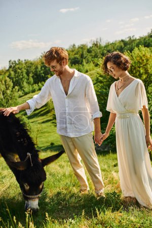 Photo for Rustic wedding, interracial newlyweds in sunglasses holding hands near donkey grazing in green field - Royalty Free Image