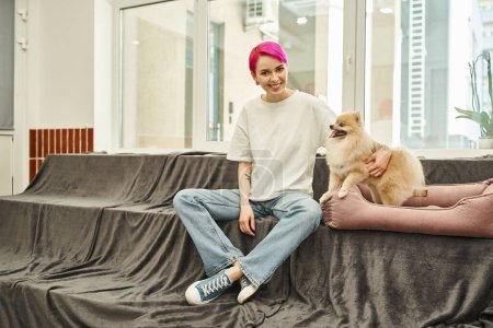 glückliche und stilvolle Hundesitterin umarmt Pommernspitz im weichen Hundebett in modernem Haustierhotel