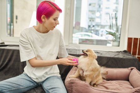 lila-haarige Hundesitterin spielt mit süßem Pommernspitz auf gemütlichem Hundebett im Haustierhotel
