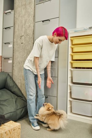Lächelnder Hundesitter streckt im gemütlichen und modernen Haustierhotel die Hände zum liebenswerten Pommerschen Spitz aus