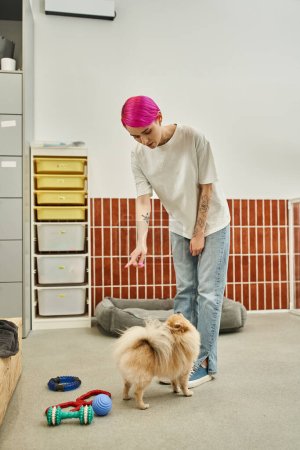 perro sitter apuntando con el dedo mientras se entrena lindo spitz pomeranian en hotel de mascotas, clase de obediencia