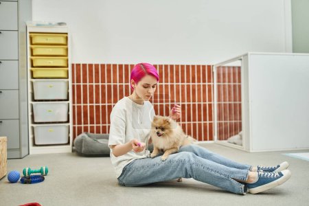stylish dog sitter sitting on floor near toys and training playful pomeranian spitz in pet hotel