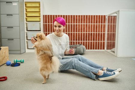 alegre hembra perro sitter tratar pomeranian spitz mientras sentado en suelo durante entrenamiento clase
