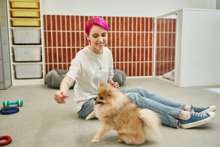 Positiver Haustier Hotelangestellter hält Leckerbissen in der Nähe der Pommernspitze im Sitzen auf dem Boden, Hundetraining