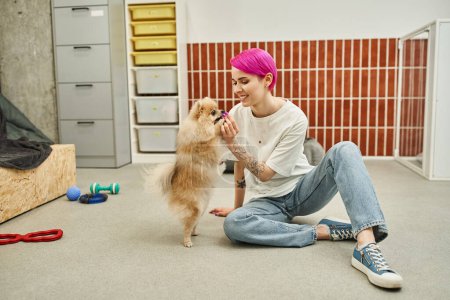 fröhliche Hundesitterin behandelt verspielte Pommernspitzen beim Gehorsamsunterricht im Haustierhotel