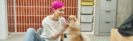 Téléchargez les photos : Dresseur de chien aux cheveux violets nourrissant mignon spitz poméranien, classe d'obéissance à l'hôtel pour animaux de compagnie, bannière - en image libre de droit