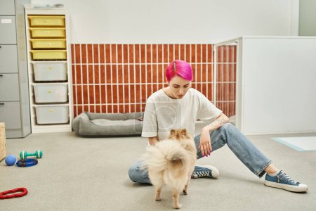 obedience session, stylish female pet sitter sitting on floor near pomeranian spitz in dog hotel