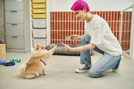 Photo for Playful pomeranian spitz giving high five to dog sitter with bowl of dry food, feeding time - Royalty Free Image