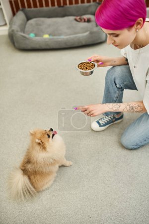 Photo for Tattooed pet sitter with bowl of dry food giving sit command to pomeranian spitz in pet hotel - Royalty Free Image