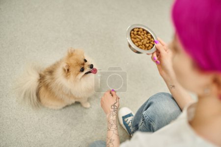high angle view of blurred female dog sitter holding bowl of kibbles near pomeranian spitz, mealtime