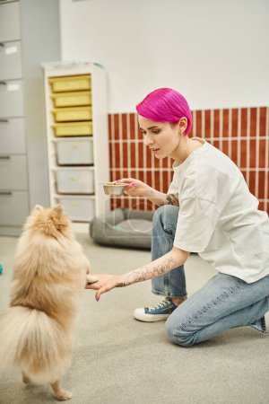Téléchargez les photos : Élégant chien de garde tatoué avec bol de nourriture pour chien près de spitz poméranien ludique, heure de l'alimentation - en image libre de droit